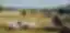 Mitglieder eines Flugclubs bereiten Flugzeuge auf einem Sportflugplatz vor und warten 
                                sie